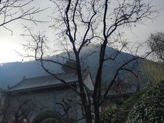 -白玉兰商务酒店(沈阳陆军总院店)