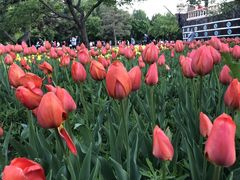 -长春公园(普阳街道)