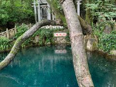-蝴蝶泉公园