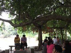 -小洲村