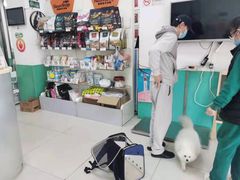 -利又安动物医院··老年病·猫科犬科·中兽医