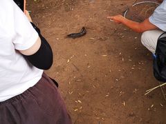 -永定河休闲森林公园