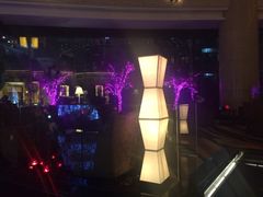 iphone_upload_pic-宏安瑞士大酒店馥澜吧