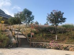 -密云玫瑰情园