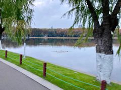 -东湖听涛景区