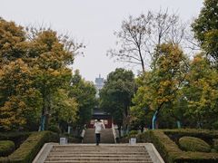 -微山岛春天里酒家