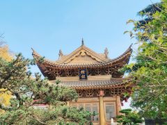 -上海东林寺(金山区)
