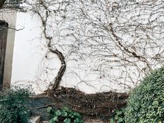 -朵云书院·广富林店