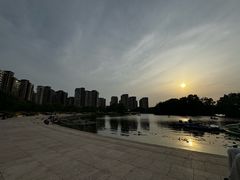 -新江湾城公园
