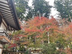 -三千院