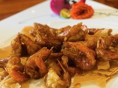 -顺德了能馆(虎门店)