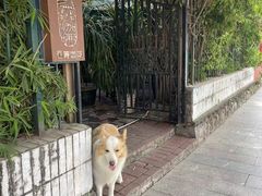 -豆舞咖啡(民乐路店)