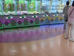 -盈香心动乐园