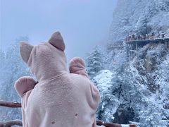 -老君山风景名胜区