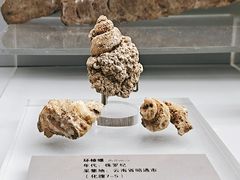 -云南省博物馆