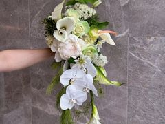 -BEAST野兽派(上海浦东嘉里城店)