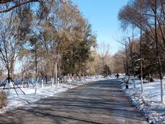 -长白岛森林公园