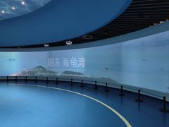 -广东惠东海龟国家级自然保护区