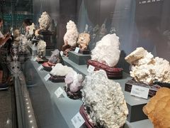 -湖南省地质博物馆