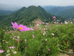 -石潭村