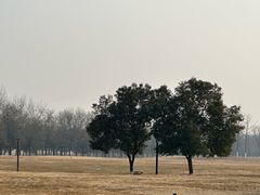 -汉长安城未央宫国家考古遗址公园