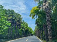 -上海海湾国家森林公园