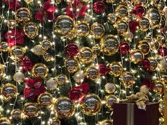 -广州富力丽思卡尔顿酒店