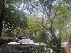 -Fern Forest Cafe