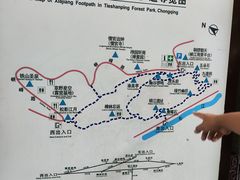 -铁山坪森林公园