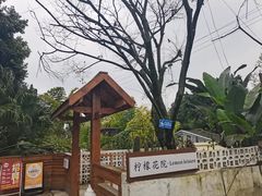 -柠檬花院烤肉·会议团建·聚会·求婚(三圣乡店)