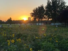 -汉长安城未央宫国家考古遗址公园