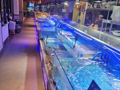 -渔民船说·北塘海鲜·天津菜·海肠捞饭(北塘古镇店)