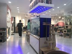 -喵园·猫主题咖啡厅·撸猫·猫咖(国贸店)