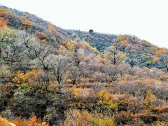 -妙峰山风景名胜区