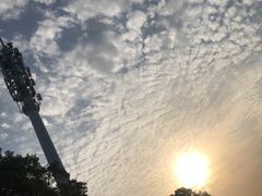 -上海国际音乐村