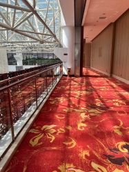 -成都世外桃源酒店-宴会厅·草坪婚礼·会议活动