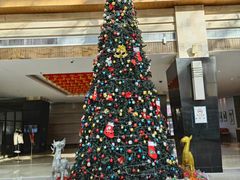 -青岛城阳宝龙福朋喜来登酒店