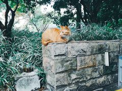 -苏州河梦清园环保主题公园