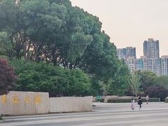 -青枫公园