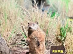 -陕西自然博物馆