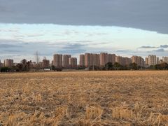 -嘉北郊野公园