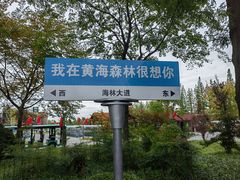 -黄海国家森林公园