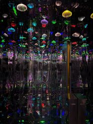 -疯狂冒险家-亲子密室-东坝店(金隅嘉品店)