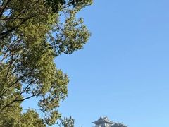 -呼吸森林·生态农庄农家乐私房菜