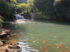 -兰溪地下长河