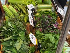 -楚韵小镇·宜昌肥鱼(虹桥国际店)