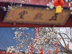 -杭州上天竺法喜讲寺