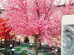 -鹏欣水游城