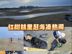 -北海金海湾红树林生态旅游区