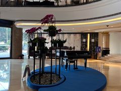 -珠海怡景湾大酒店
